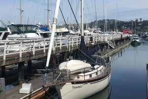 San Francisco: Muir Woods ja Sausalito -kierros