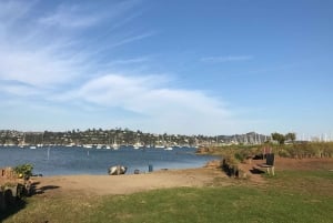 San Francisco: Muir Woods ja Sausalito -kierros