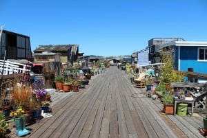 San Francisco: Muir Woods ja Sausalito -kierros