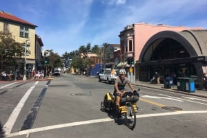 San Francisco: Muir Woods ja Sausalito -kierros