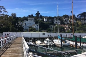 San Francisco: Muir Woods ja Sausalito -kierros