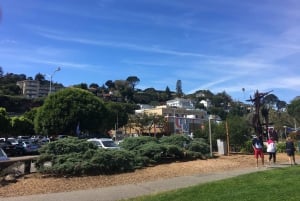 San Francisco: Muir Woods ja Sausalito -kierros