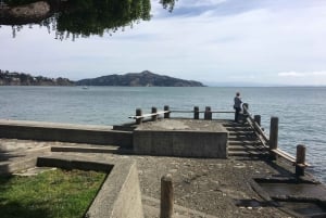 San Francisco: Muir Woods ja Sausalito -kierros