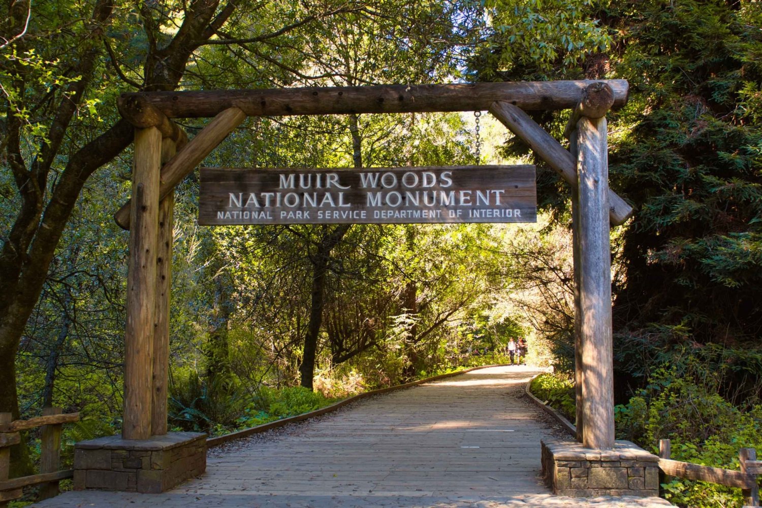 San Francisco: Private Muir Woods, Sausalito Half-Day Trip