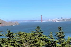 San Francisco: Privat halvdagstur i Muir Woods og Sausalito