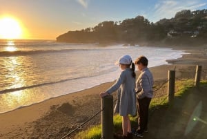 San Francisco: Escursione privata di mezza giornata al Muir Woods e a Sausalito