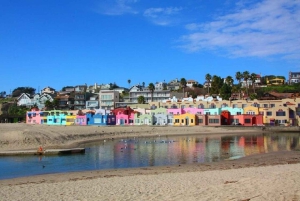 San Francisco: Bosque de Redwood y puerto de Santa Cruz, excursión de 1 día