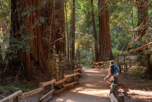 San Francisco: Redwood & Wine Country Tour with Lunch & Wine