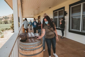 San Francisco: Redwood & Wine Country Tour with Lunch & Wine