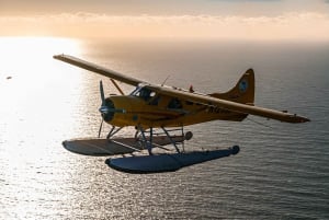 サンフランシスコ：シャンパン付きの水上飛行機フライト