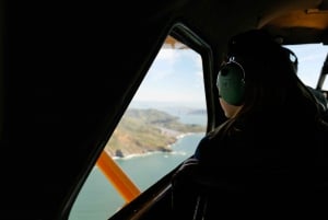 サンフランシスコ：シャンパン付きの水上飛行機フライト