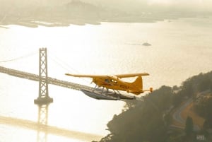 サンフランシスコ：シャンパン付きの水上飛行機フライト