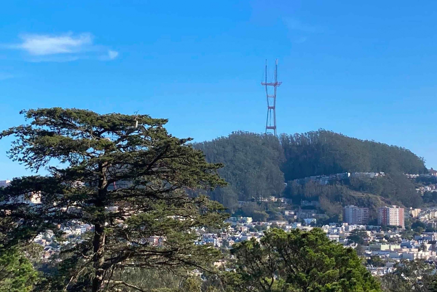 San Francisco: Secrets of Golden Gate Park Audio Tour