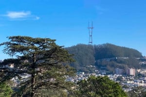 San Francisco: Secrets of Golden Gate Park Audio Tour