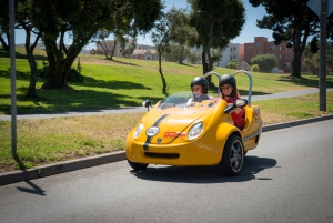 San Francisco: Självkörande rundtur till landmärken med Painted Ladies