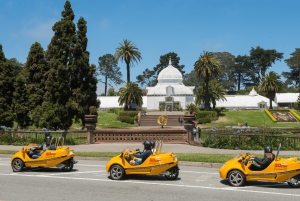 San Francisco: Självkörande rundtur till landmärken med Painted Ladies
