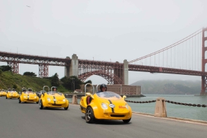 San Francisco: Självkörande rundtur till landmärken med Painted Ladies