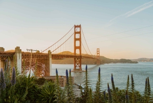 San Francisco: SFO Airport Private Transfer to Downtown