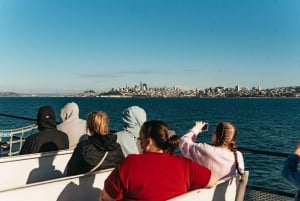 Skip-the-Line 1-Hour Bay Cruise by Boat