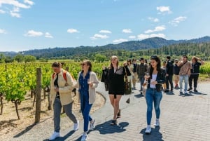 Luxe wijntour in kleine groep door Napa Valley