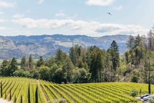 Luxe wijntour in kleine groep door Napa Valley