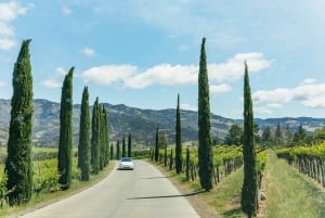 Luxe wijntour in kleine groep door Napa Valley