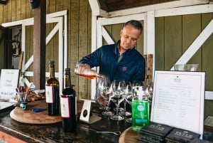 San Francisco: Ruta del Vino de Sonoma con Degustaciones