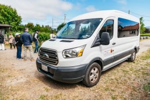 San Francisco: tour vinícola grupo reducido Sonoma con catas