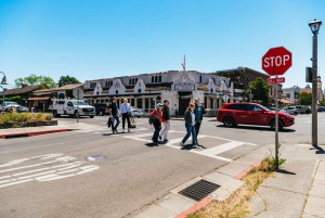 Från San Francisco: Napa & Sonoma vinprovning i liten grupp