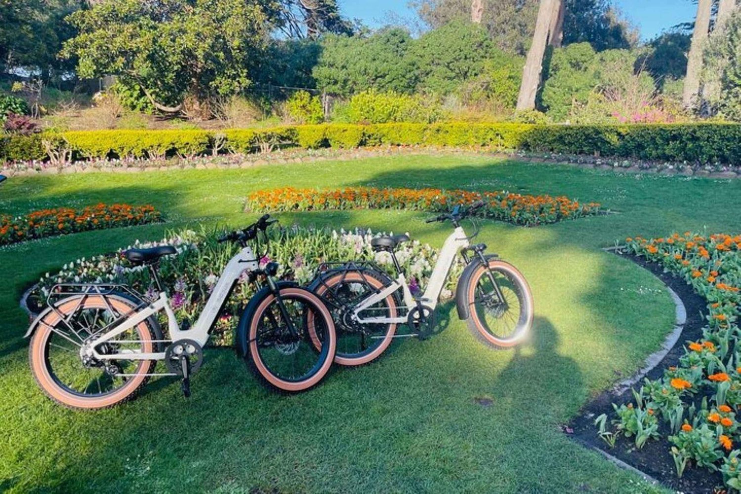 San Francisco: Summer of Love guidet tur på eBike