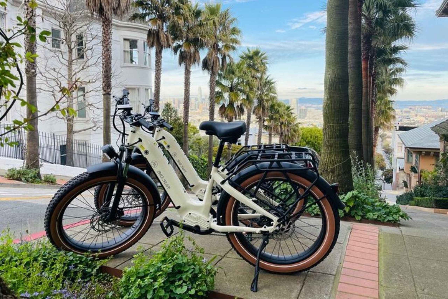 San Francisco: Summer of Love: Opastettu eBike-kierros