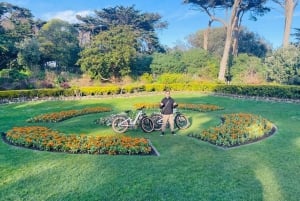San Francisco: Summer of Love guidet tur på eBike