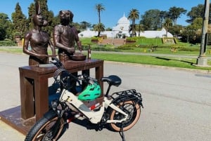 San Francisco: Summer of Love guidet tur på eBike