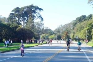 San Francisco: Summer of Love guidet tur på eBike