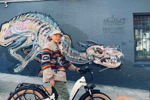 San Francisco: Summer of Love guidet eBike-tur