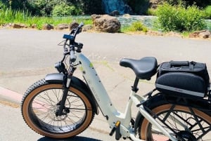 San Francisco: Summer of Love guidet eBike-tur
