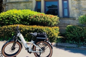 San Francisco: Summer of Love guidet eBike-tur