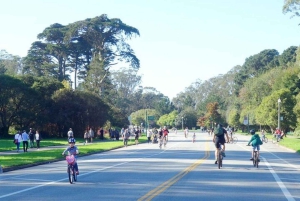 San Francisco: Summer of Love: Opastettu eBike-kierros