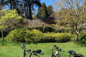 San Francisco: Summer of Love: Opastettu eBike-kierros