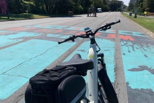 San Francisco: Summer of Love: Opastettu eBike-kierros