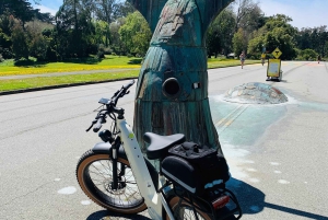 San Francisco: Summer of Love: Opastettu eBike-kierros