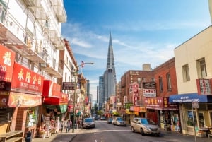 San Francisco: The Warrior Cat Chinatown City Game