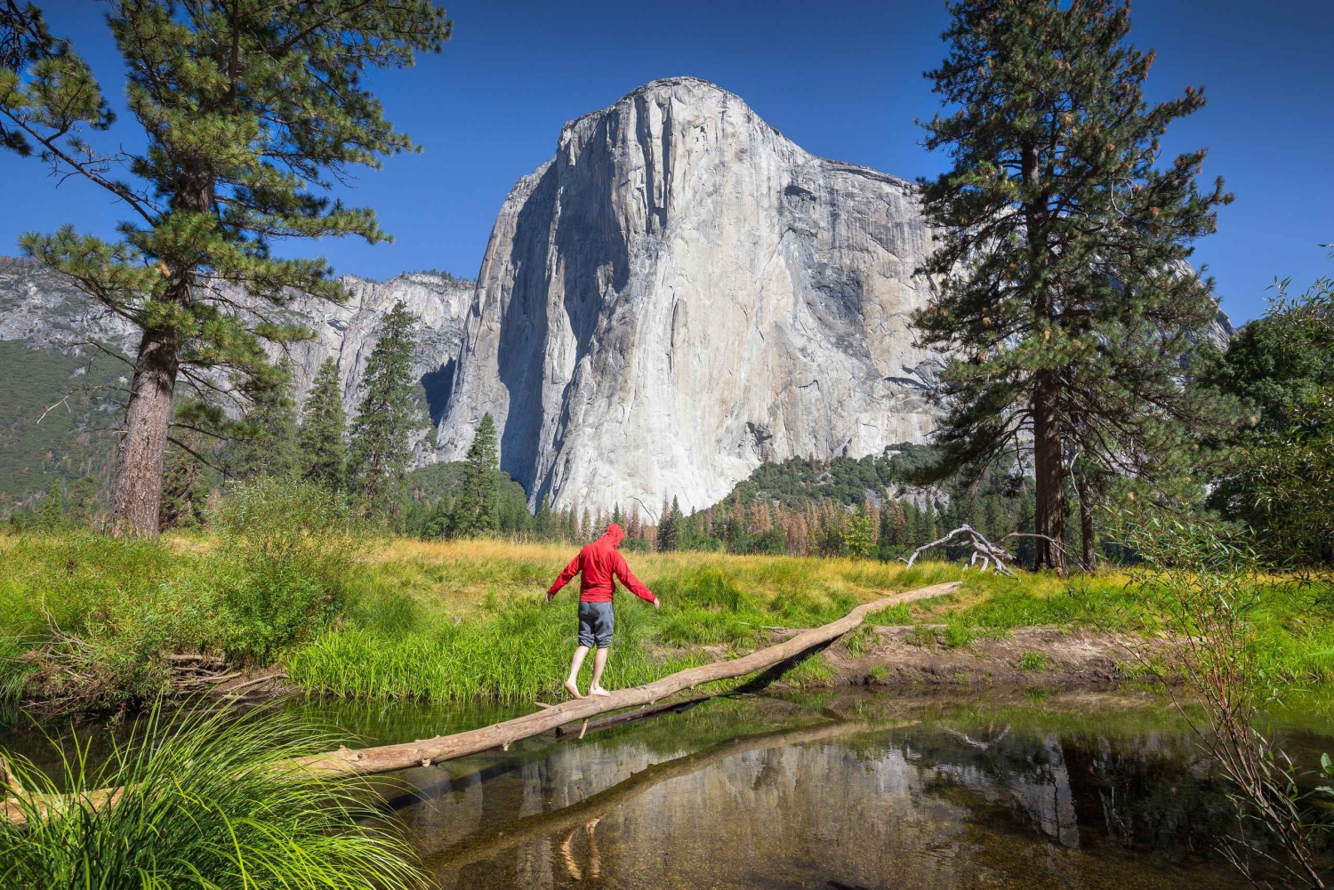 San Francisco zum/vom Yosemite Nationalpark: 1-Wege-Transfer