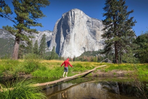 San Francisco zum/vom Yosemite Nationalpark: 1-Wege-Transfer