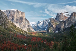 San Francisco zum/vom Yosemite Nationalpark: 1-Wege-Transfer