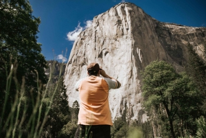 San Francisco zum/vom Yosemite Nationalpark: 1-Wege-Transfer