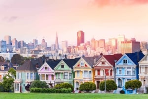 San Francisco: Tour De San Francisco (Electric Bike Tour)