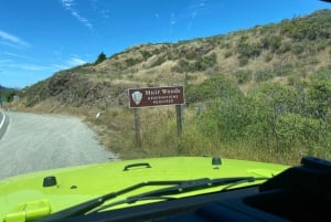 Wycieczka do San Francisco do Muir Woods Giant Redwoods i Sausalito