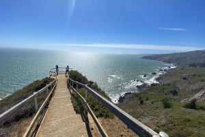 Excursión por San Francisco a las secuoyas gigantes de Muir Woods y Sausalito