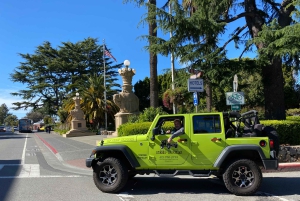 San Francisco-tur till Muir Woods Giant Redwoods och Sausalito